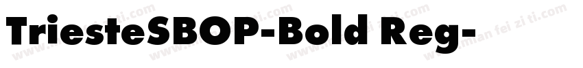 TriesteSBOP-Bold Reg字体转换